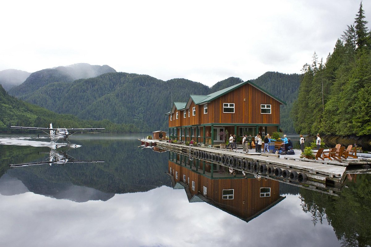 Great Bear Lodge - Bear Watching