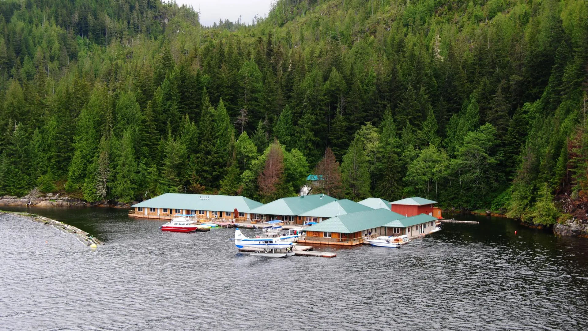 Knight Inlet Lodge - Bear Watching