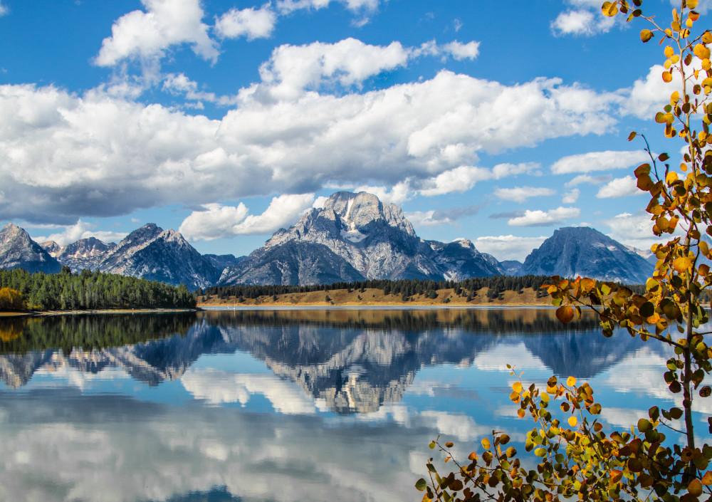 jackson hole