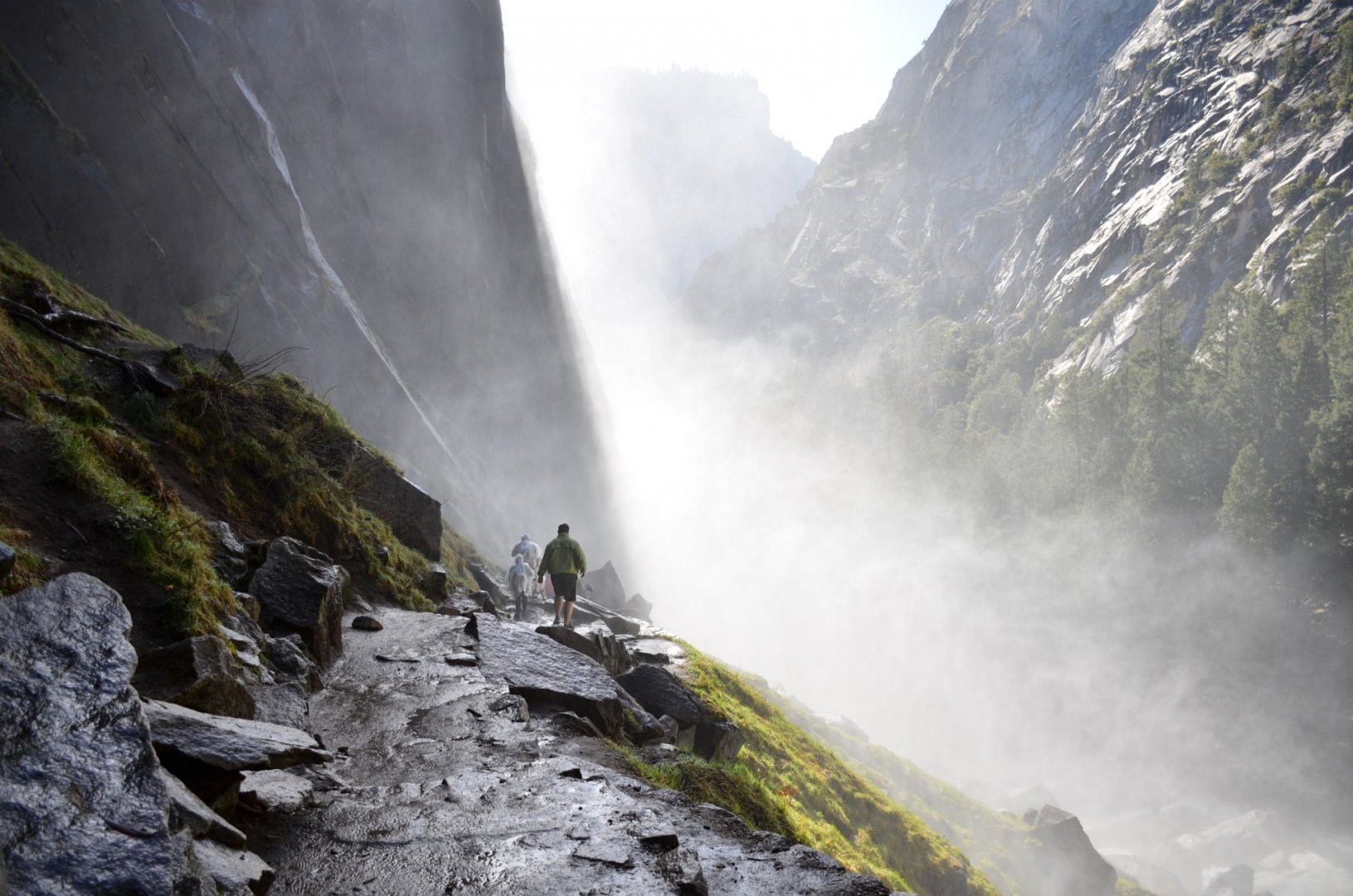 Fondovalle della Yosemite Valley