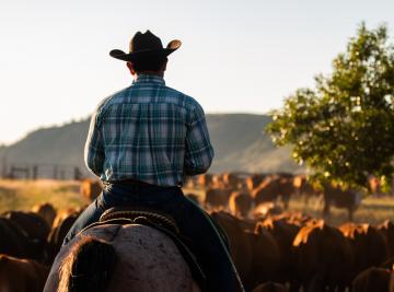 Ranch in America