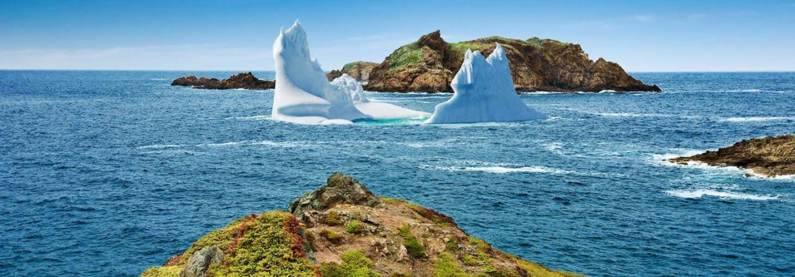 Viaggio in Canada - Terranova, tutto un altro mondo