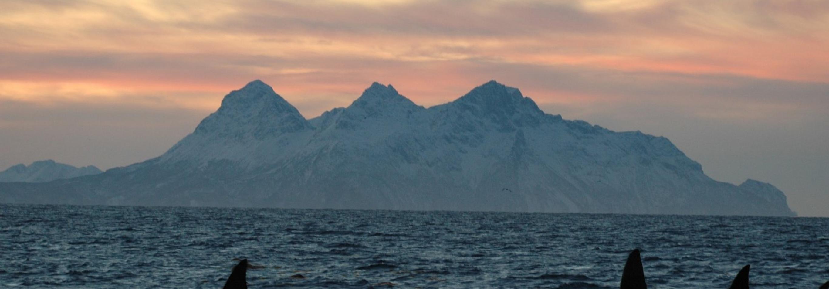 Viaggio in Norvegia - Le Isole Lofoten e Vesteralen