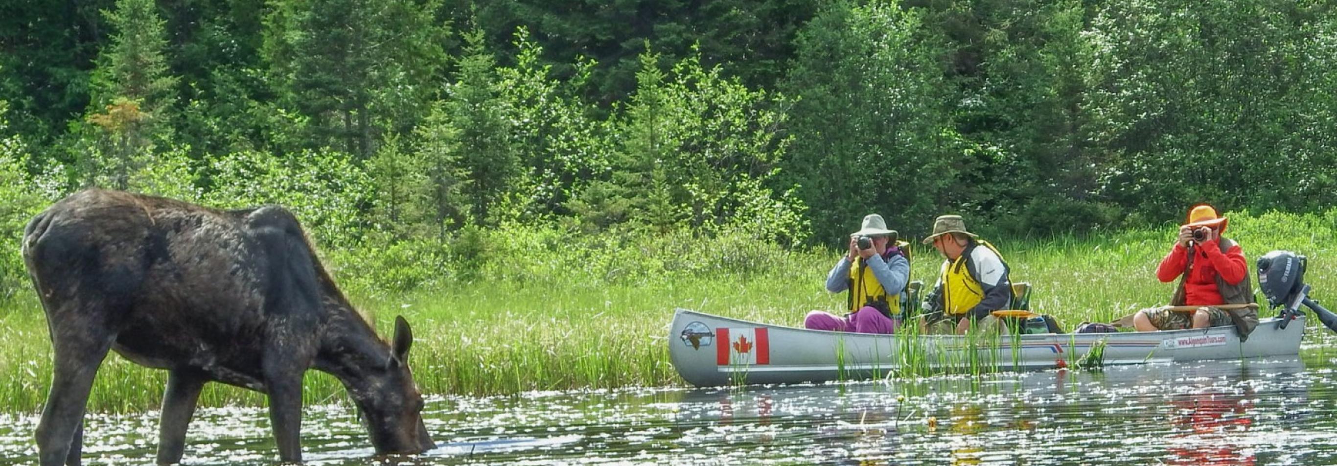 Canada - Ontario Original