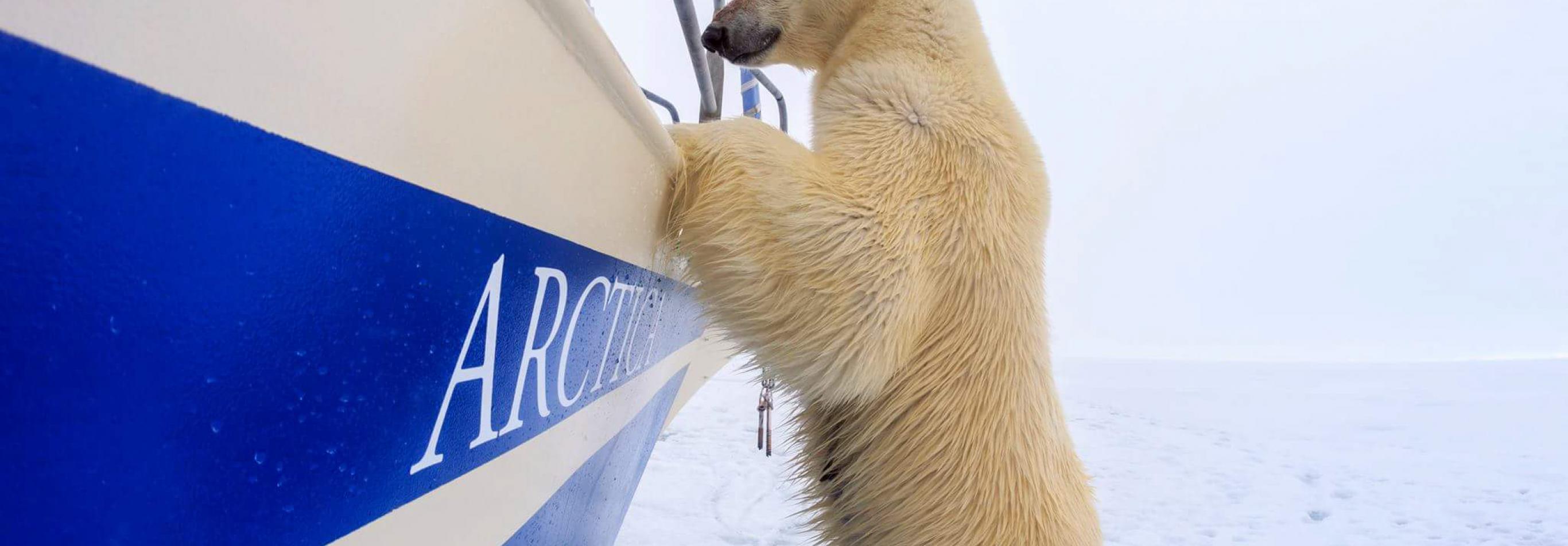 Isole Svalbard - Viaggio nell'Artico in barca a vela