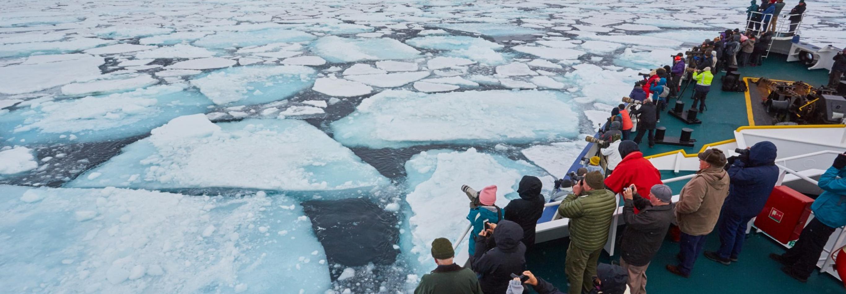 Isole Svalbard - Alla ricerca dell'orso polare