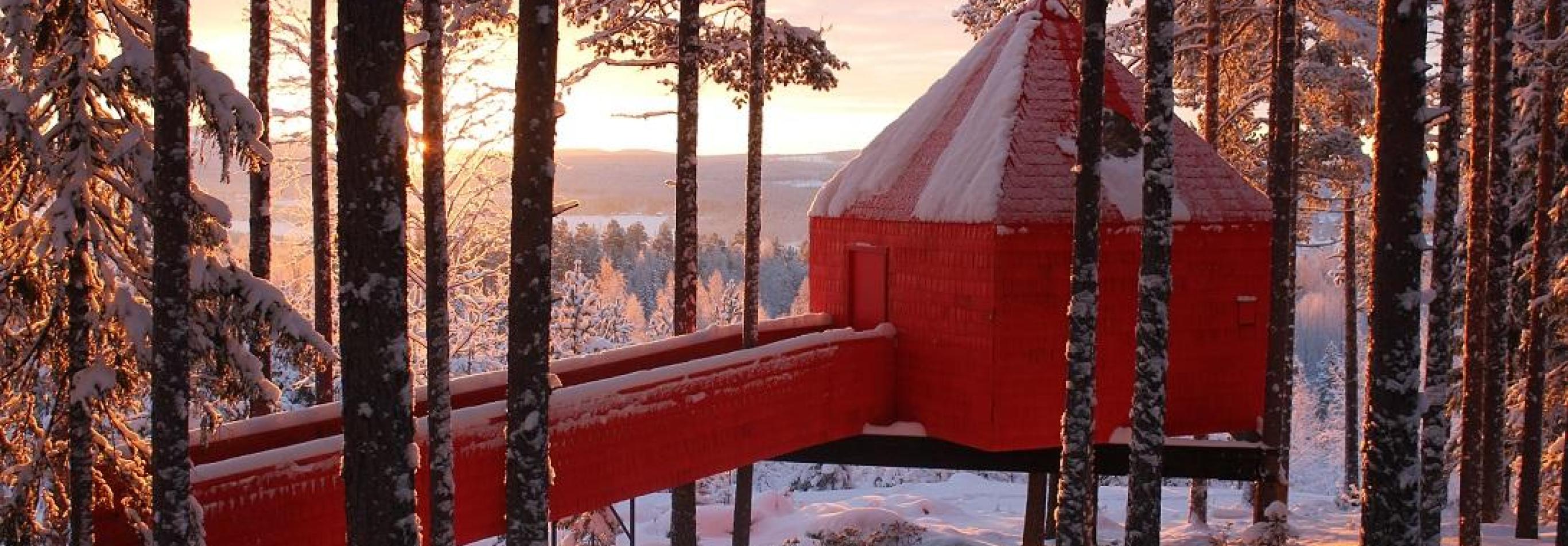 Svezia - Avventure in Lapponia svedese e Tree Hotel