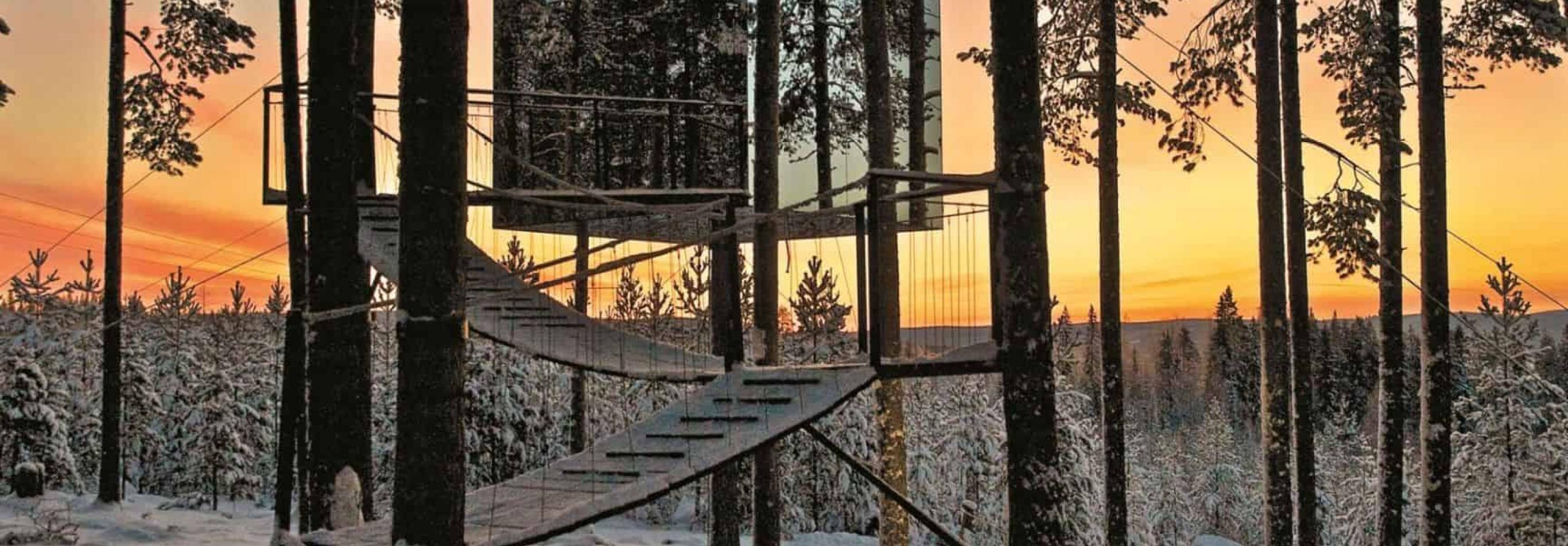 Svezia - Avventure in Lapponia svedese e Tree Hotel