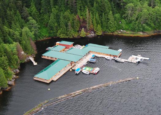 CANADA - NEL REGNO DEI GRIZZLY AL KNIGHT INLET LODGE