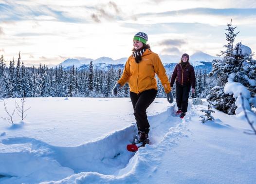 Canada - Yukon: a caccia dell'aurora boreale