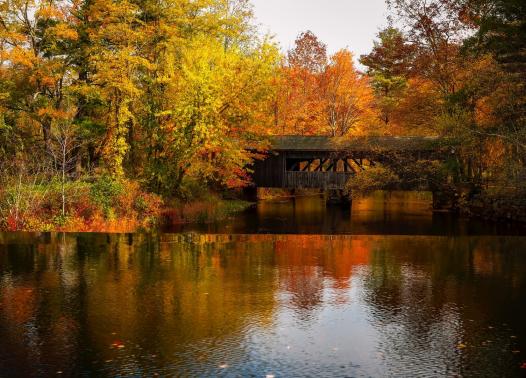 USA - I colori del New England