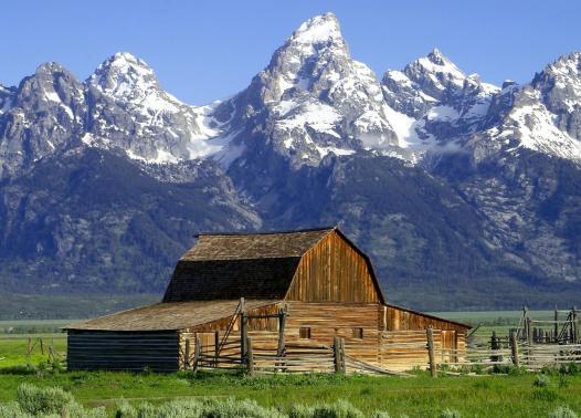 USA - Montana e Wyoming in libertà  