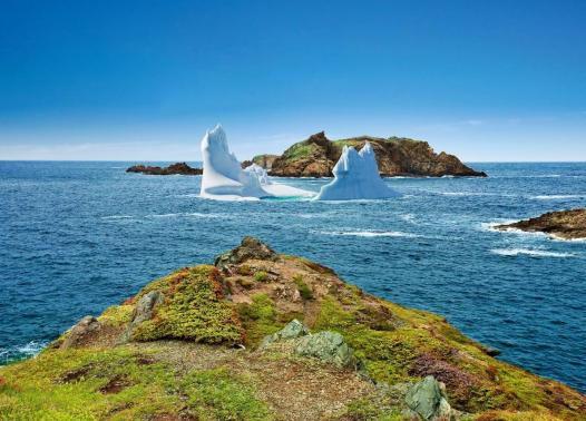 Viaggio in Canada - Terranova, tutto un altro mondo