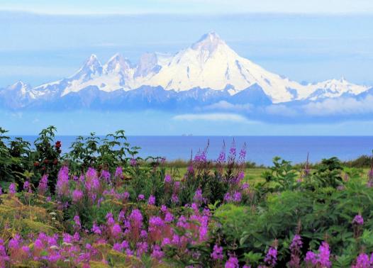 Alaska - Great Alaska Self Drive Tour