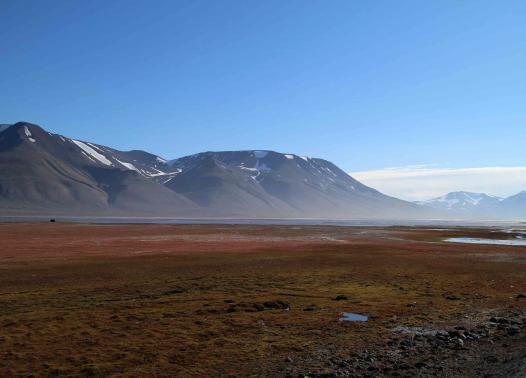 Isole Svalbard - Opera Trek