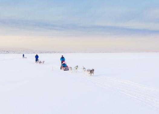 FINLANDIA - AURORA BREAK AL WILDERNESS HOTEL INARI