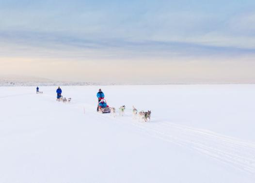 Finlandia - Aurora break al Wilderness Hotel Inari