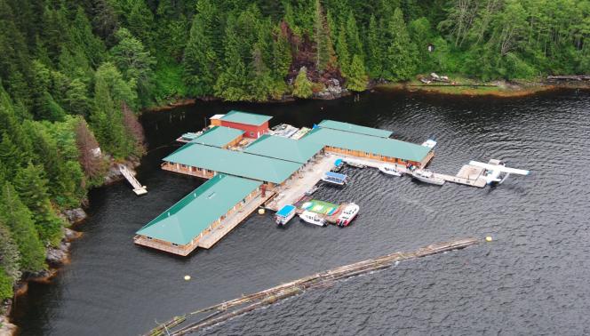 CANADA - NEL REGNO DEI GRIZZLY AL KNIGHT INLET LODGE