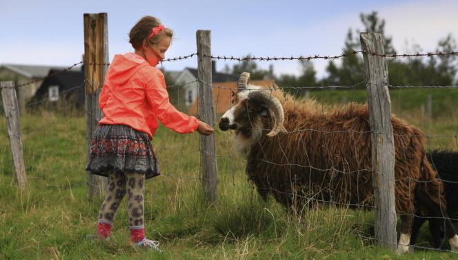 Viaggio in Islanda - Giovani esploratori, Islanda con bambini