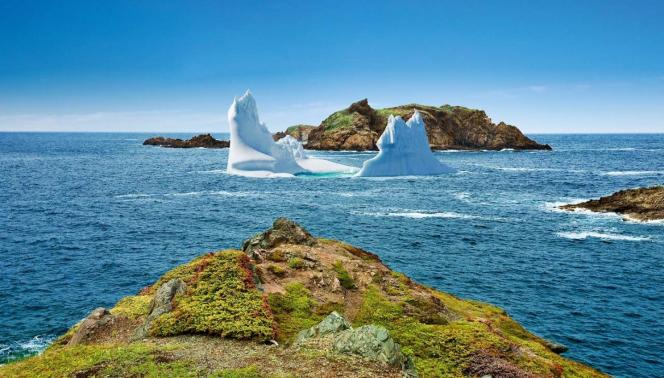 Viaggio in Canada - Terranova, tutto un altro mondo