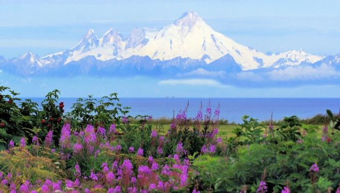 Alaska - Great Alaska Self Drive Tour