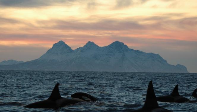 Viaggio in Norvegia - Le Isole Lofoten e Vesteralen