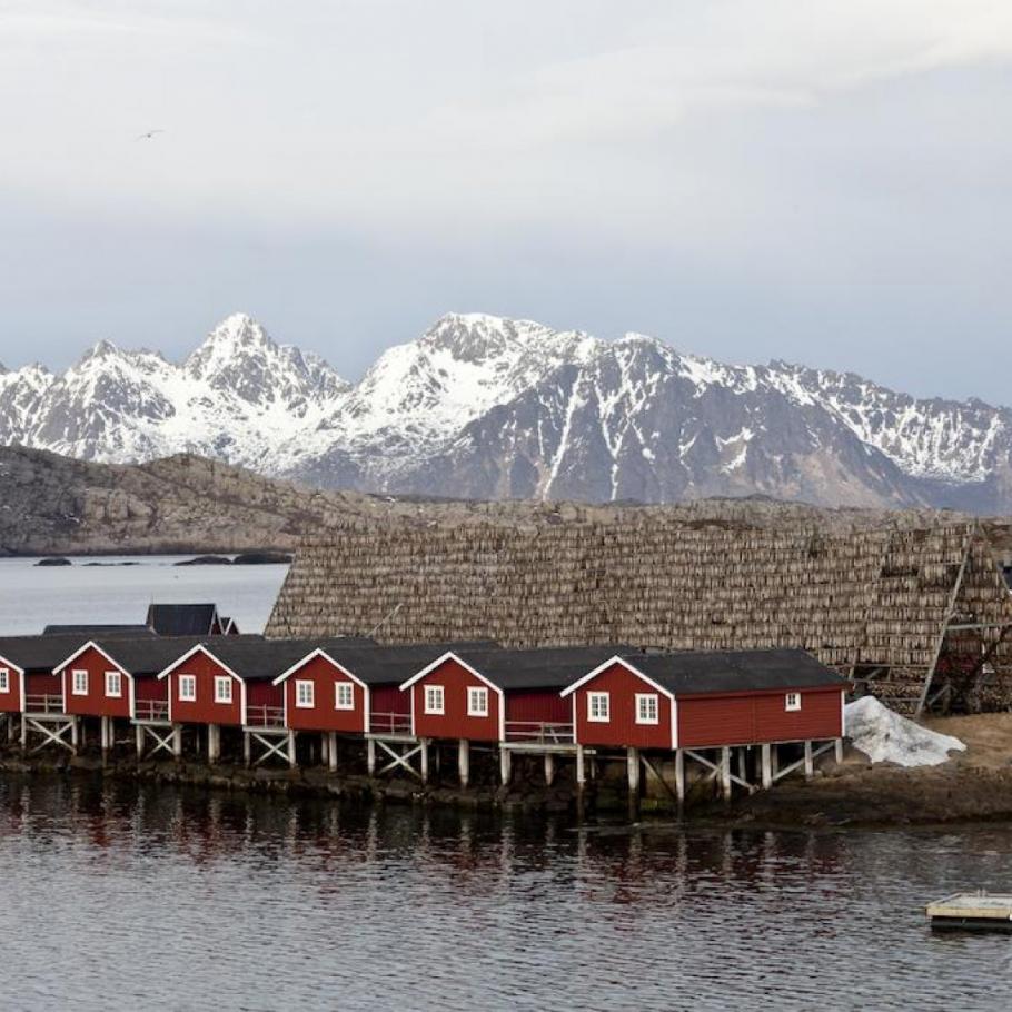 NORVEGIA - AVVENTURA INVERNALE ALLE LOFOTEN