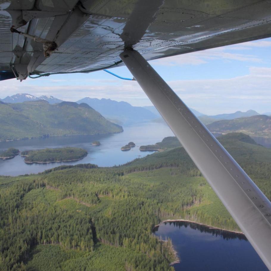 CANADA - NEL REGNO DEI GRIZZLY AL KNIGHT INLET LODGE