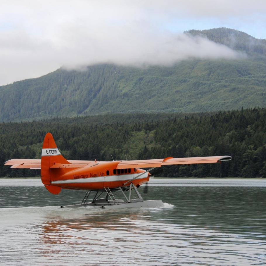 CANADA - NEL REGNO DEI GRIZZLY AL KNIGHT INLET LODGE