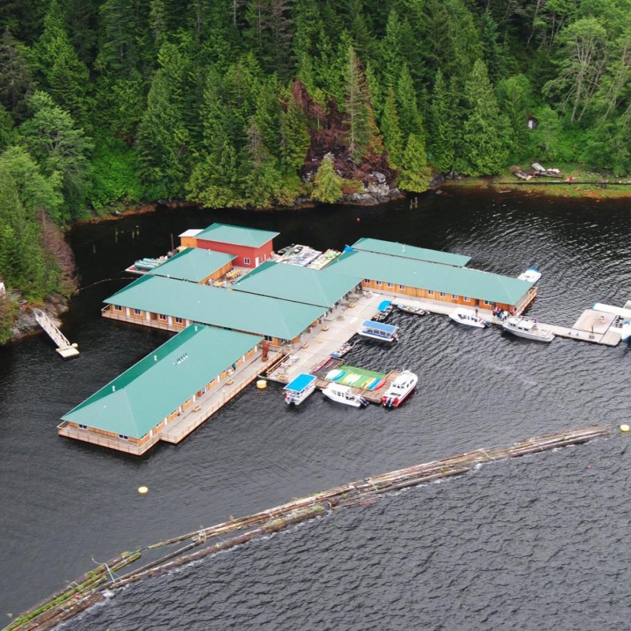 CANADA - NEL REGNO DEI GRIZZLY AL KNIGHT INLET LODGE