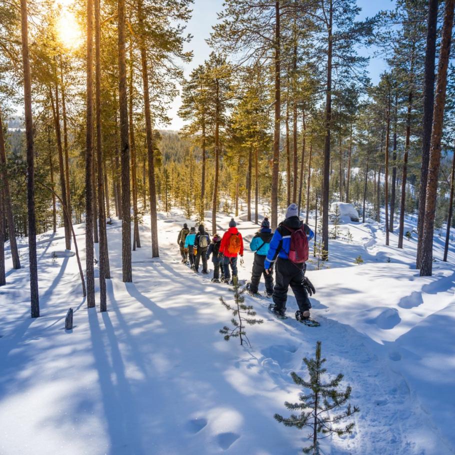 FINLANDIA - ARCTIC EXPLORER AL WILDERNESS NELLIM HOTEL