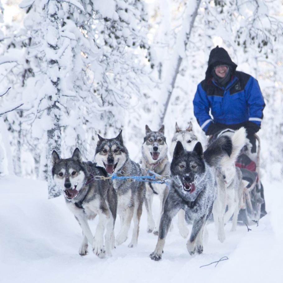 FINLANDIA - ARCTIC EXPLORER AL WILDERNESS NELLIM HOTEL