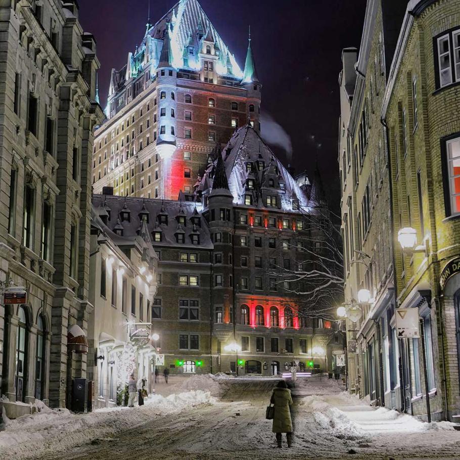 Canada - Nel magico mondo delle foche della Groenlandia