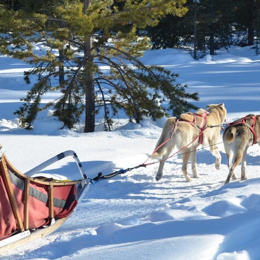 Canada - Yukon: a caccia dell'aurora boreale