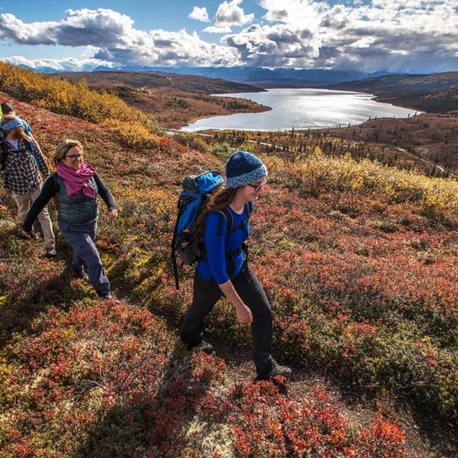 Alaska - Dalla costa al selvaggio Denali