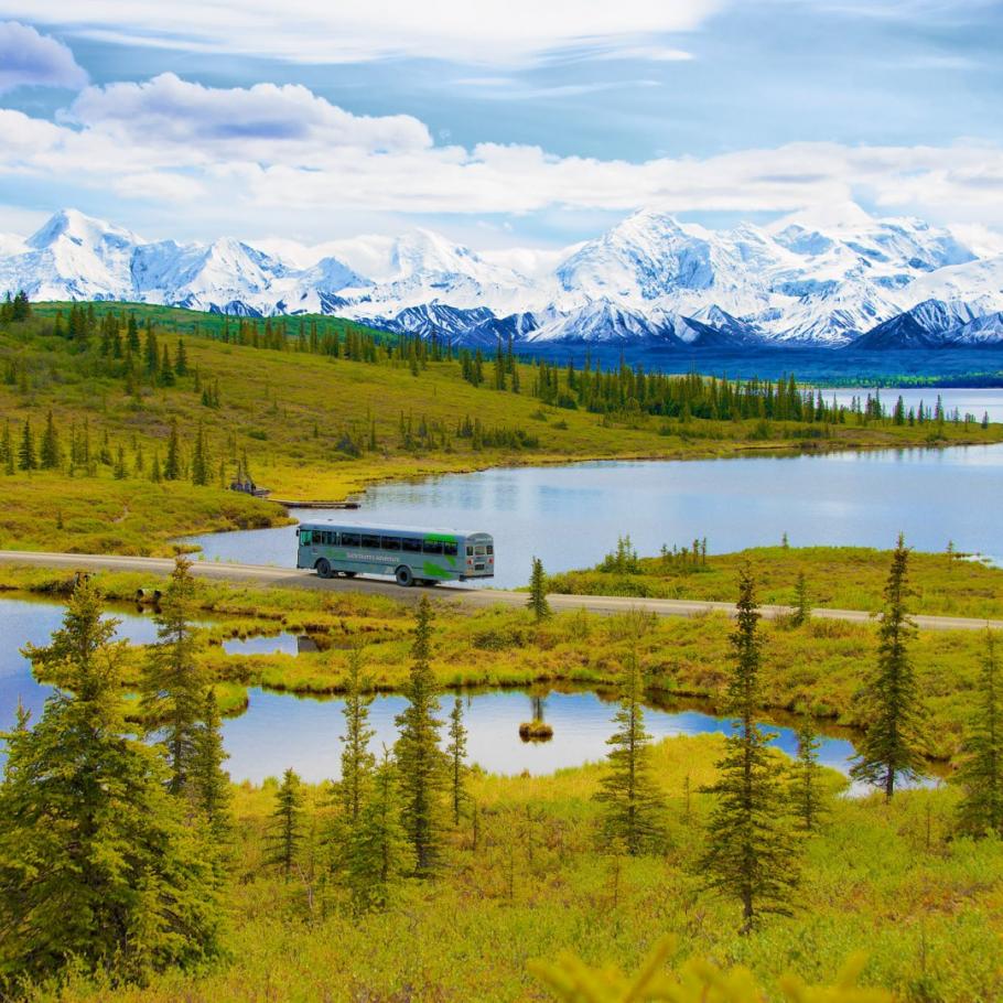 Alaska - Dalla costa al selvaggio Denali