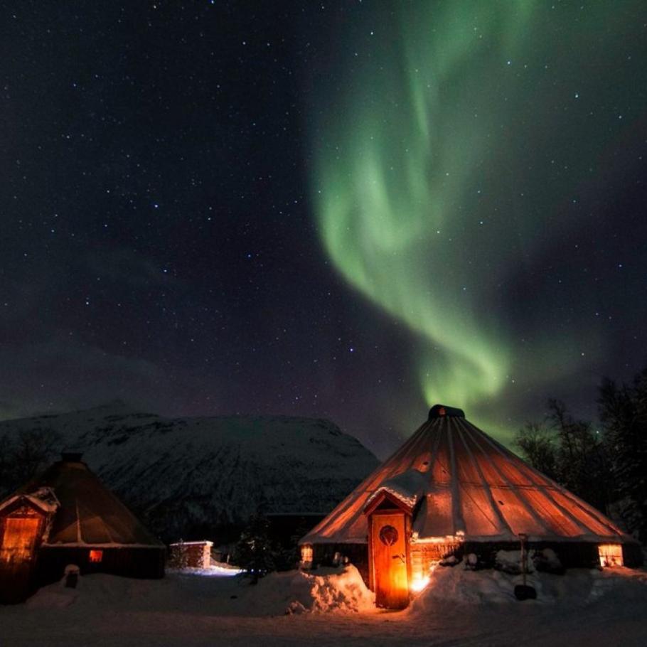 Viaggio in Norvegia - Tromso, Whale whatching e il Polar Park