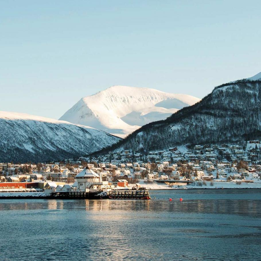 Viaggio in Norvegia - Tromso, Whale whatching e il Polar Park