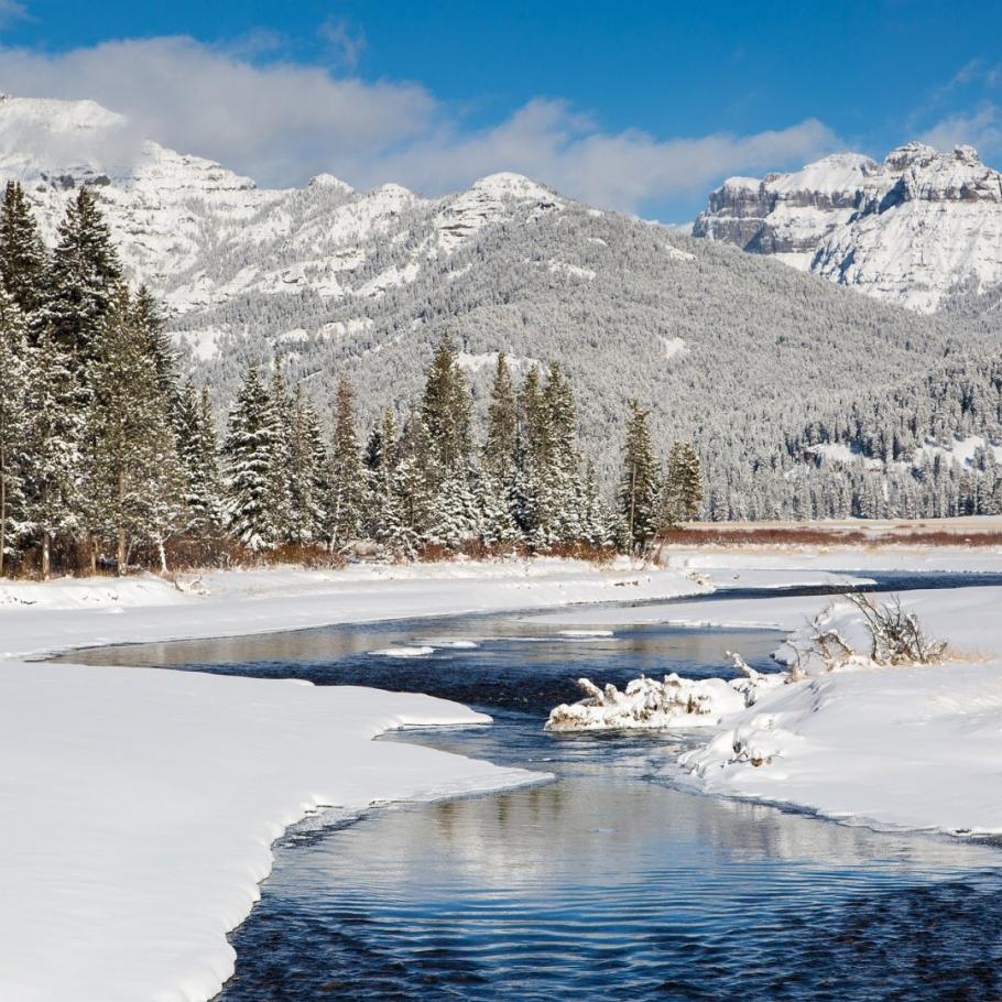 USA - Escursionismo d'inverno nello Yellowstone