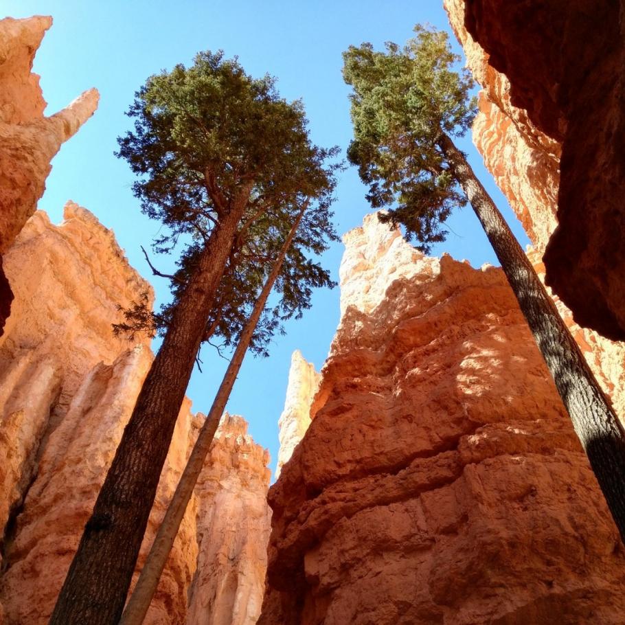 USA - Escursionismo nel Grand Canyon e i parchi del Sud-Ovest