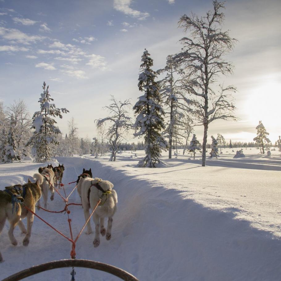 Svezia - The wild ice: Stoccolma, Kiruna e Abisko