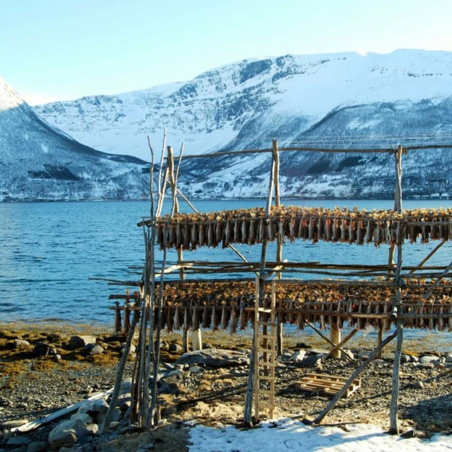 Norvegia - In auto da Tromsø a Capo Nord