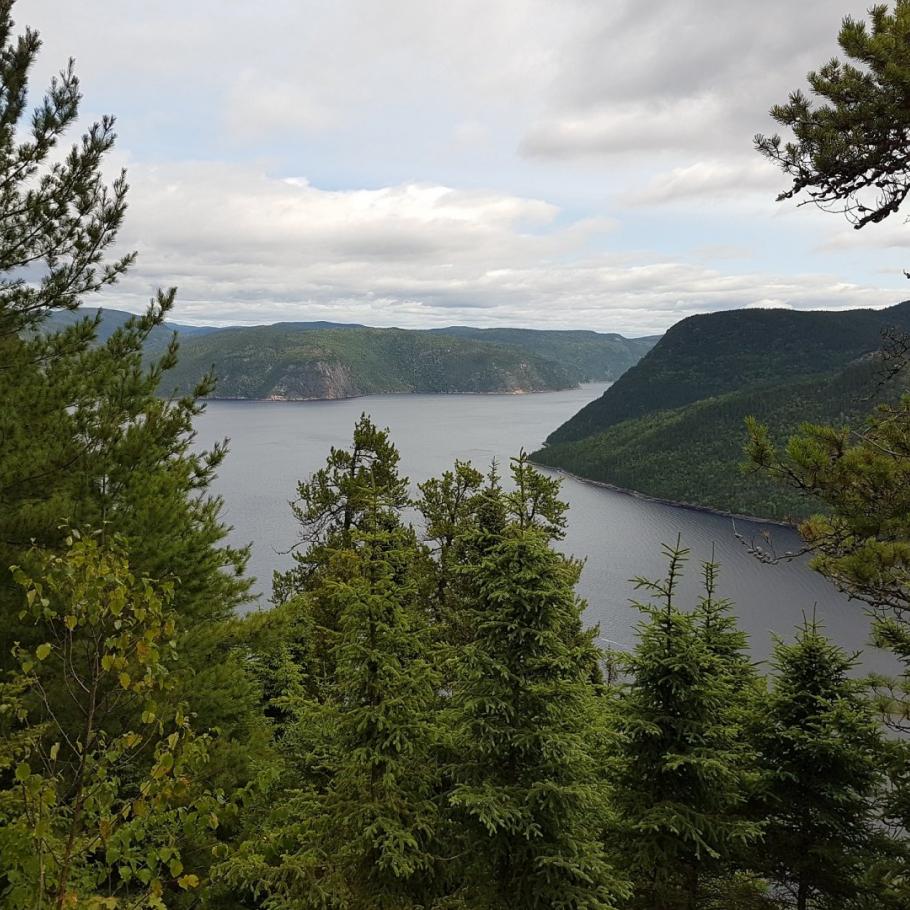 Canada - Fiordi, balene e foreste