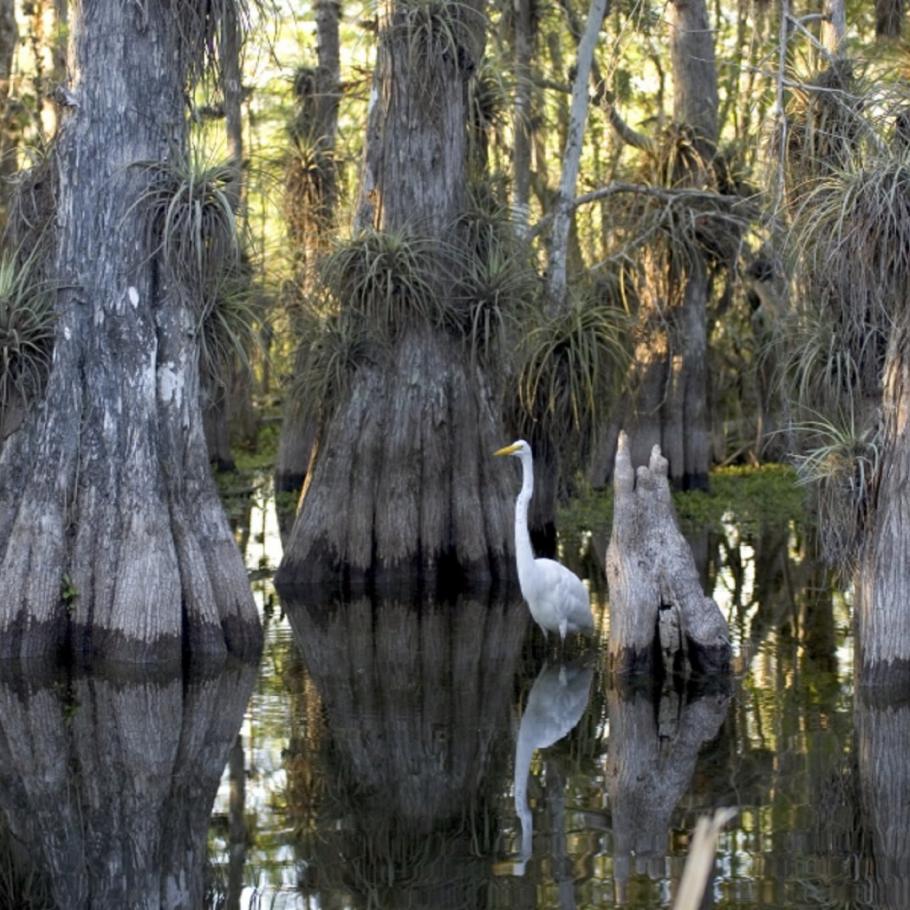 Viaggio in USA - Sotto il sole della Florida