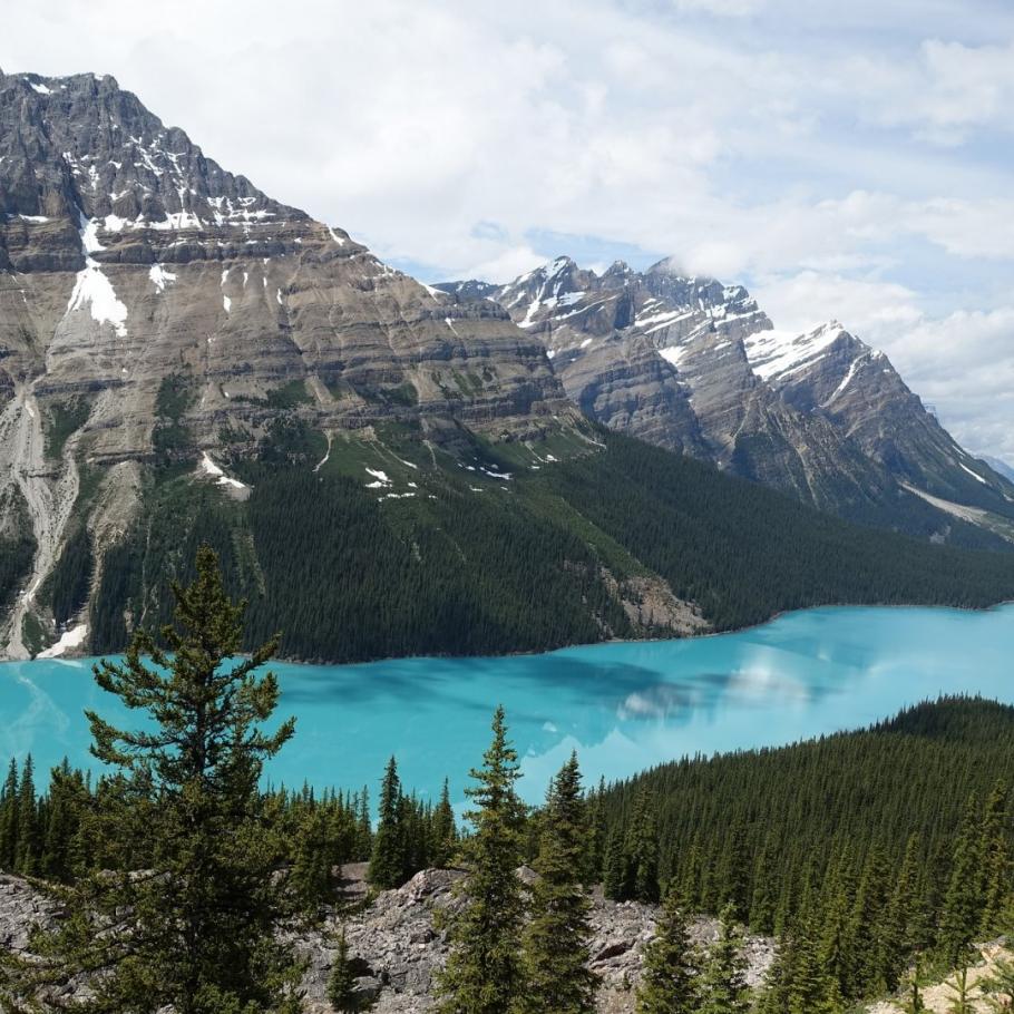 Canada - Dinosauri, ghiacciai e balene