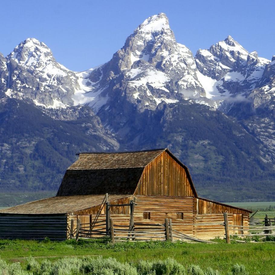 USA - Montana e Wyoming in libertà  