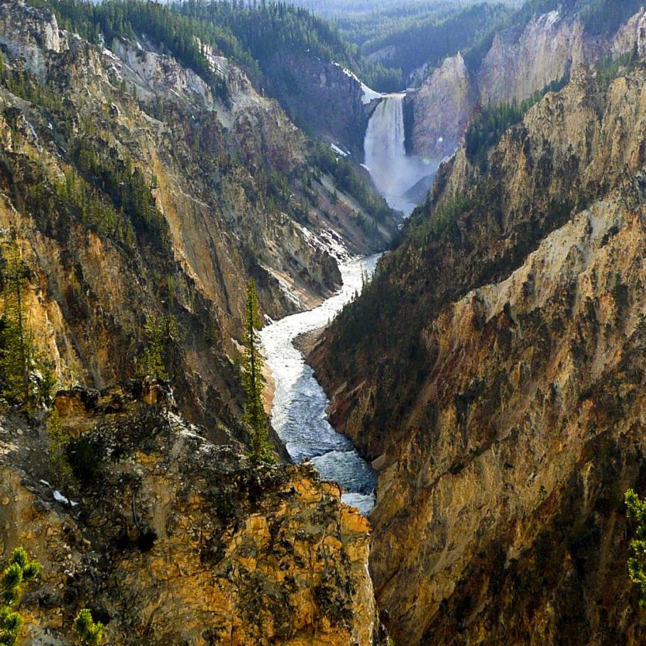 USA - Montana e Wyoming in libertà  