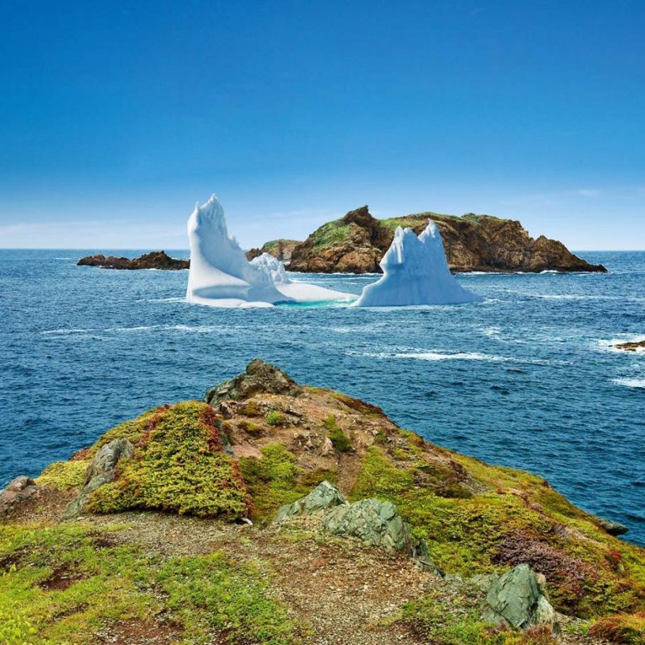 Viaggio in Canada - Terranova, tutto un altro mondo