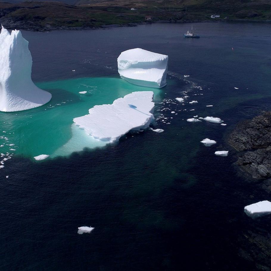 Viaggio in Canada - Terranova, tutto un altro mondo