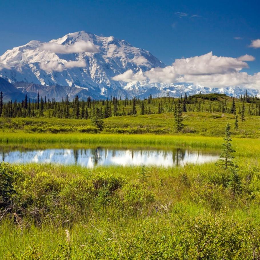Alaska - Alaska highlights in 10 giorni